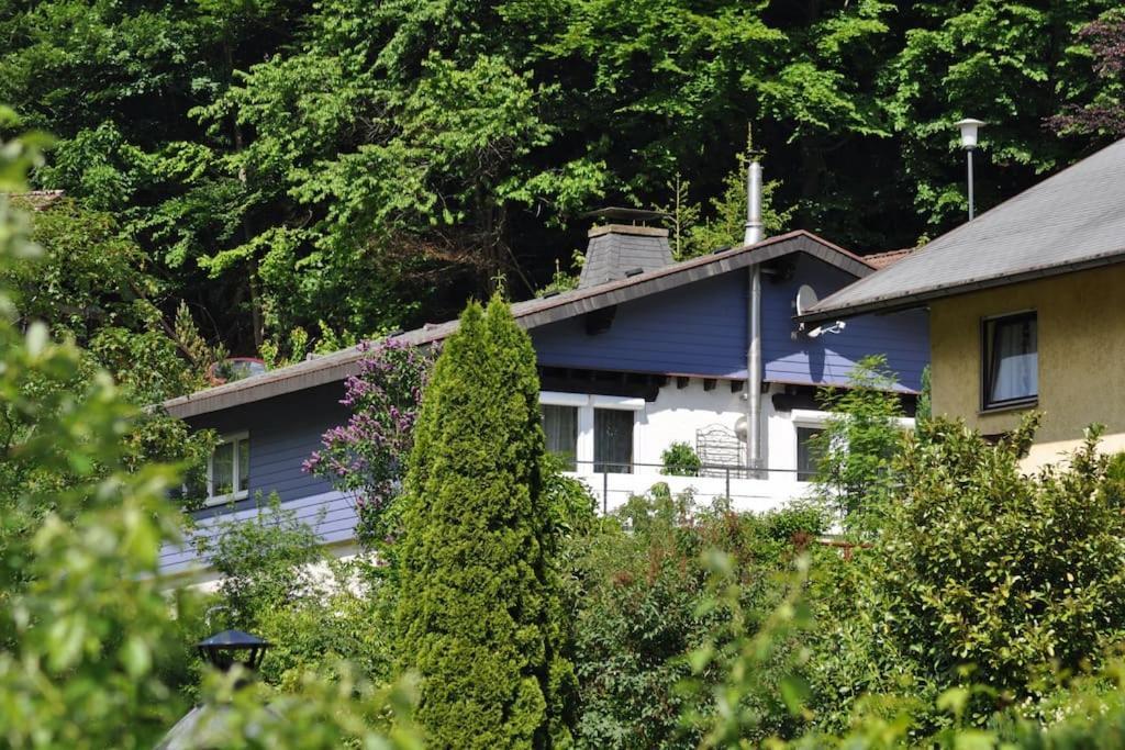 Ferienwohnung Schog Todtnau Exterior foto